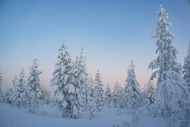 Another winter workinig in Finnish Lapland